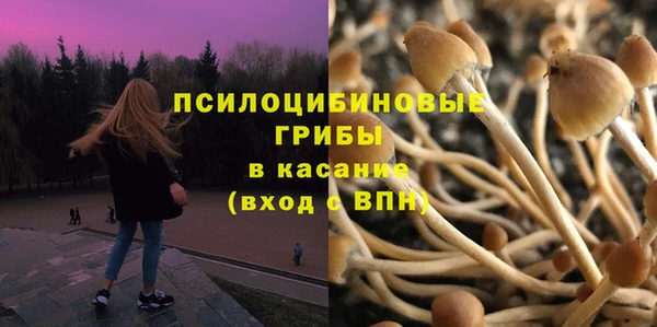 дживик Балабаново